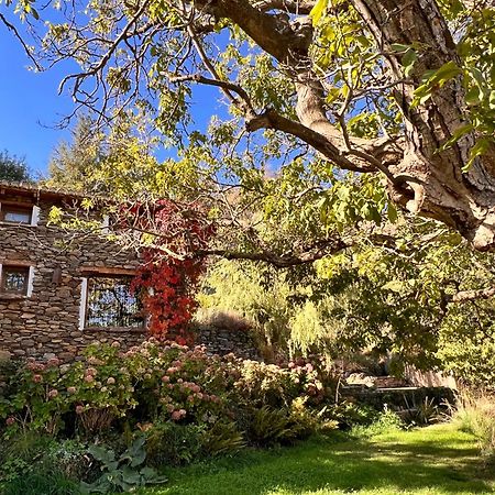 La Casa Del Nogal Villa Güéjar Sierra Kültér fotó